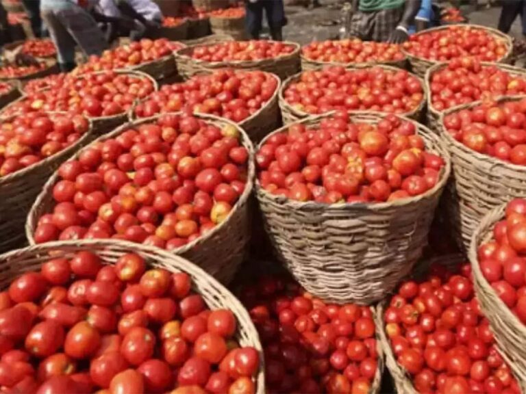 1915050-tomato-price-hike